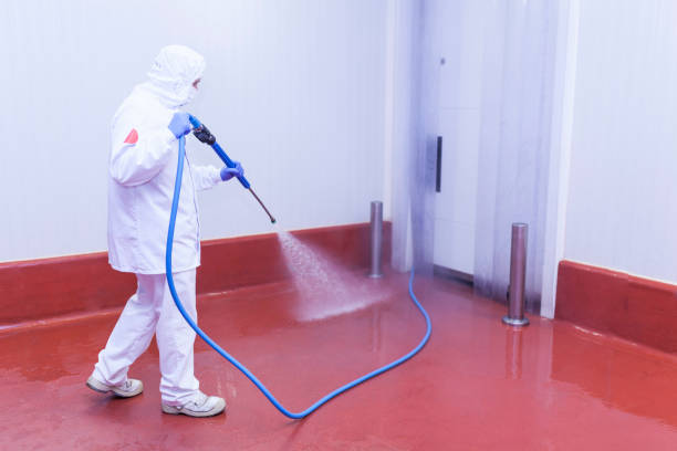 Best Graffiti Removal  in Chicago Ridge, IL