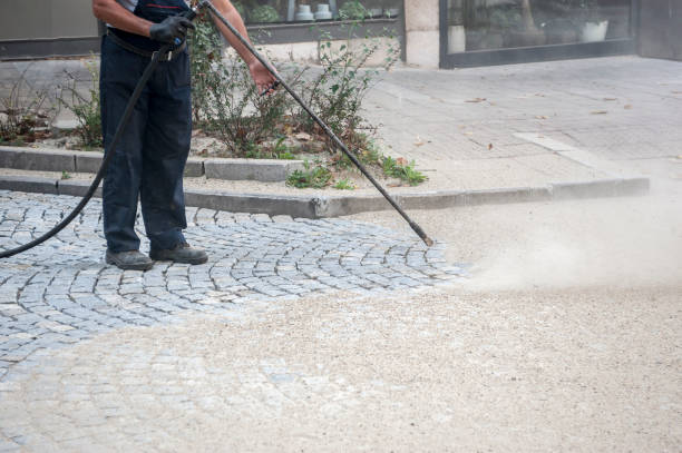 Best Warehouse Cleaning  in Chicago Ridge, IL