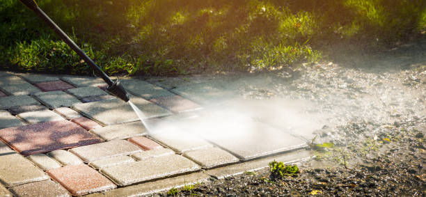 Best Dumpster Area Cleaning  in Chicago Ridge, IL